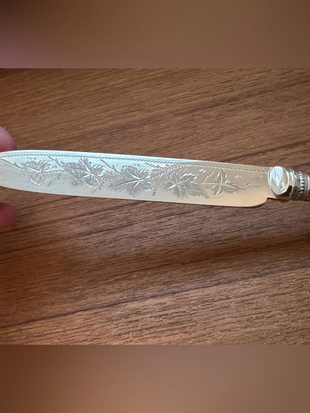 Antique English Table Set Fork Knife Silver Plated Mother Of Pearl ~ Leaves